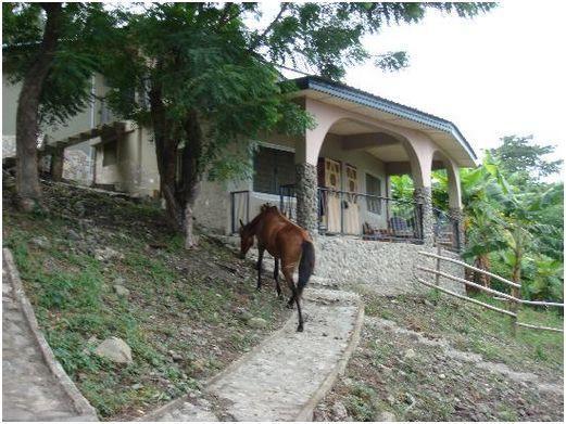 מלון קומסי The Green Ranch מראה חיצוני תמונה